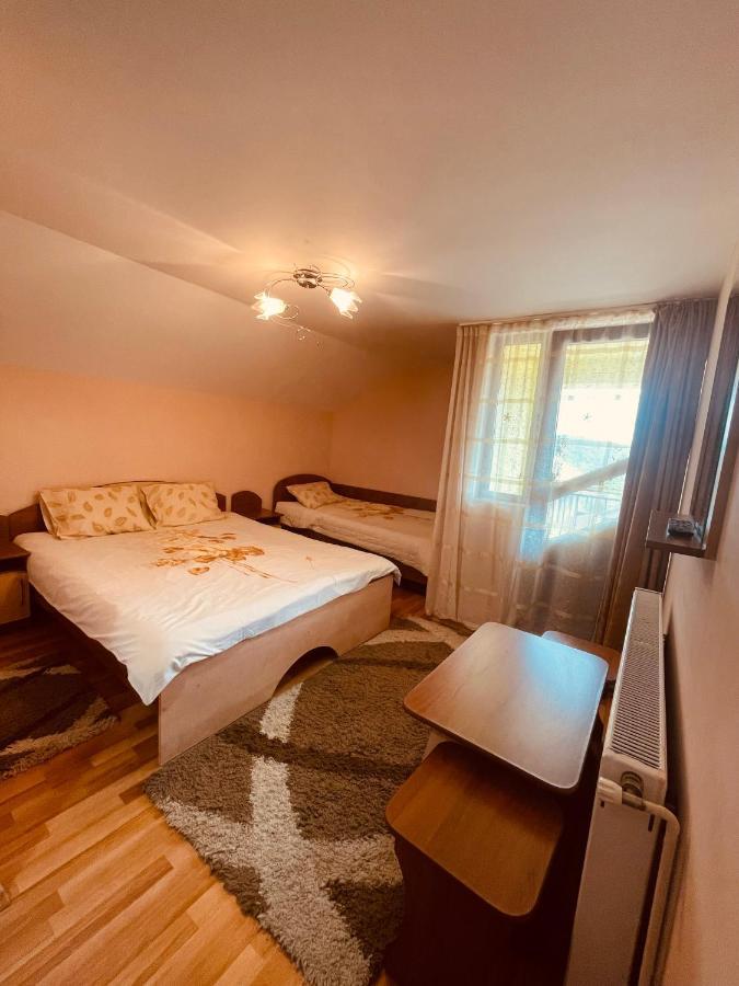 Pensiunea Valea Ursului Cîmpulung Esterno foto