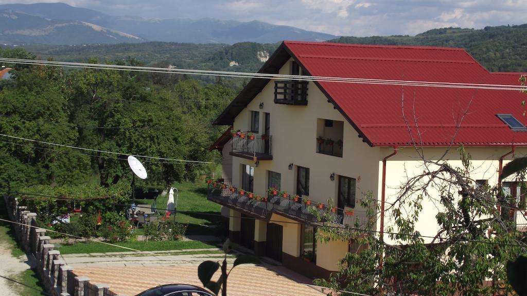 Pensiunea Valea Ursului Cîmpulung Esterno foto